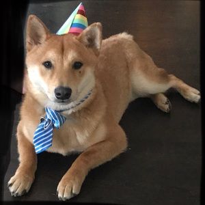 Meet your Posher, Jenny